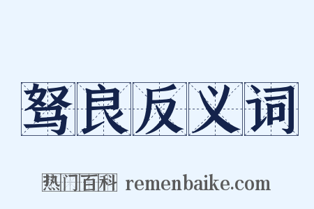 驽良反义词是什么意思的图片